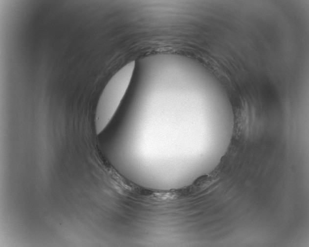 X0000071910667200607070946