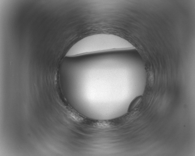 X0000071910668200607070946