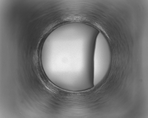 X0000071910674200607070946