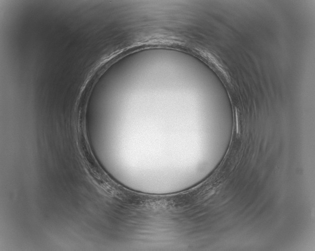 X0000071910675200607070946