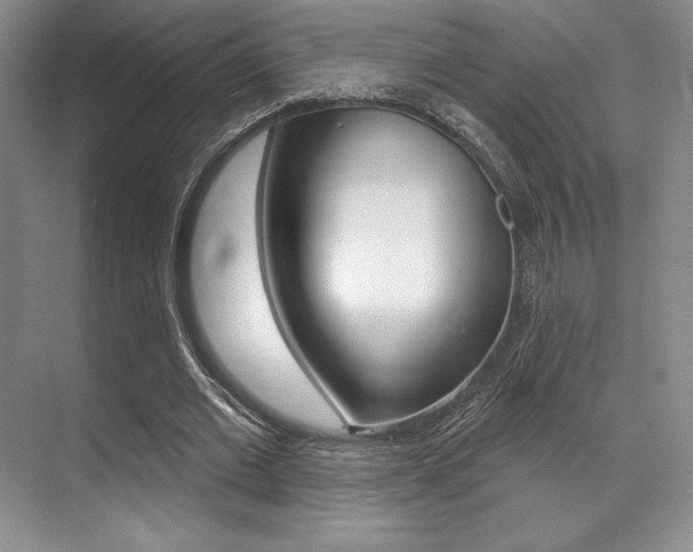 X0000071910677200607070946
