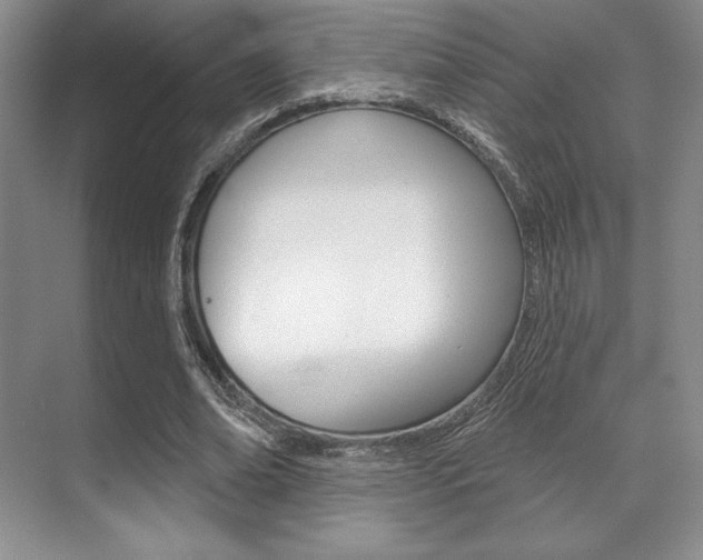 X0000071910678200607070946