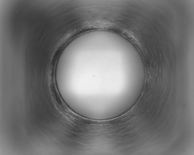 X0000071910679200607070946