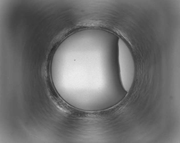 X0000071910682200607070946