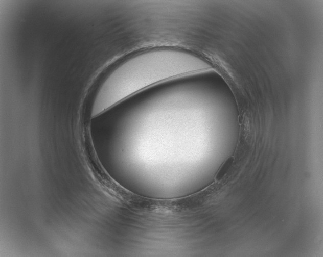 X0000071910684200607070946