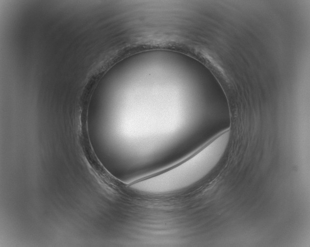 X0000071910685200607070946