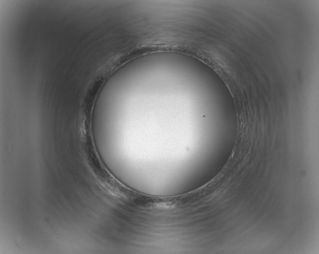 X0000071910692200607070945