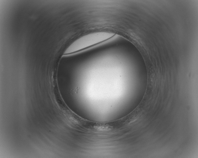 X0000071910693200607070945