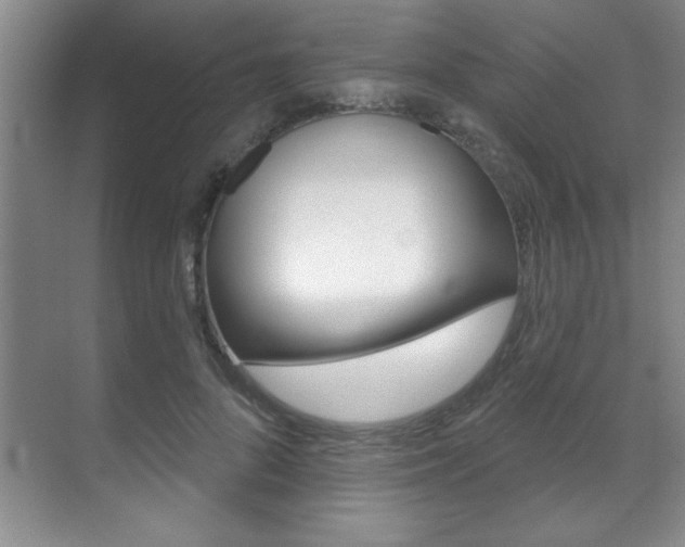 X0000071910696200607070945