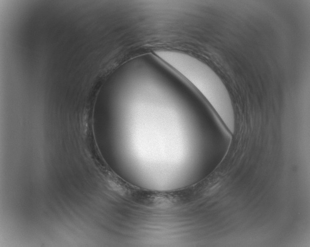 X0000071910697200607070945