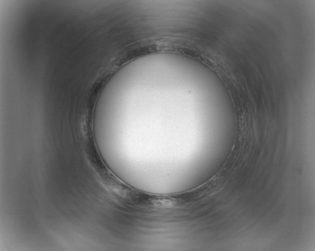 X0000071910698200607070945