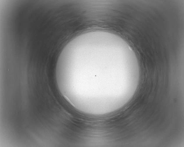 X0000071910705200607070945