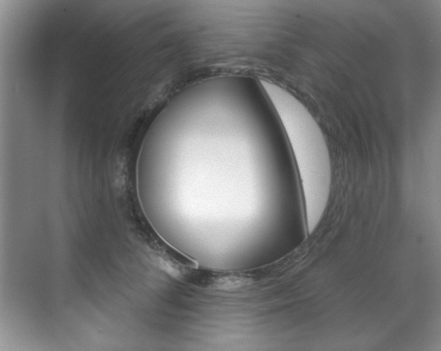 X0000071910708200607070945