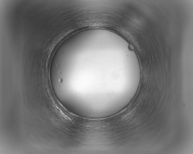 X0000071910721200607070944