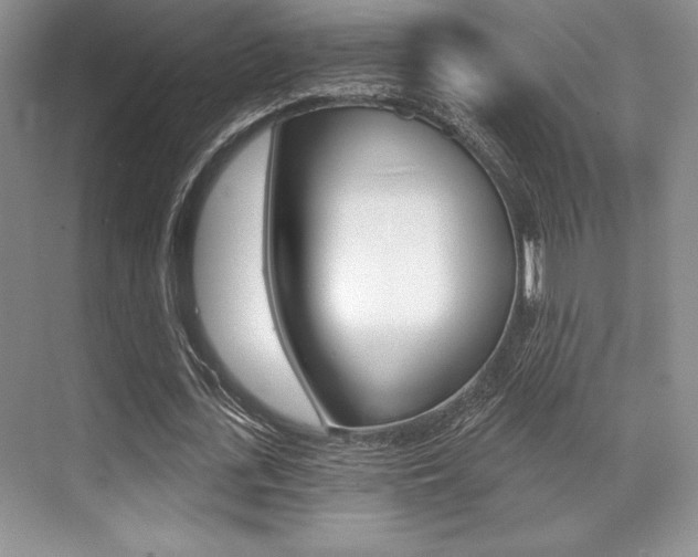 X0000071910723200607070944
