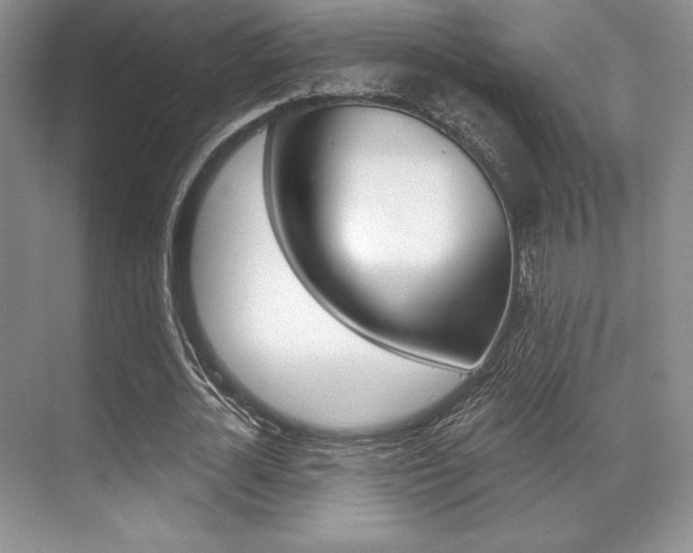 X0000071910724200607070944