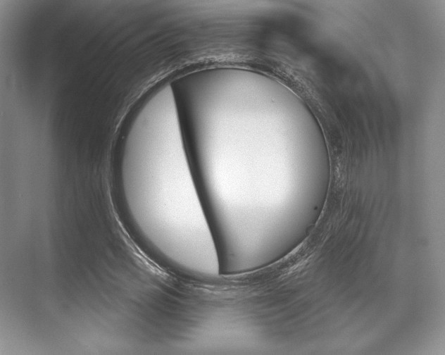 X0000071910725200607070944