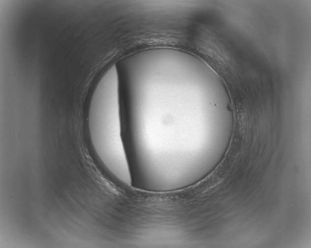 X0000071910729200607070944