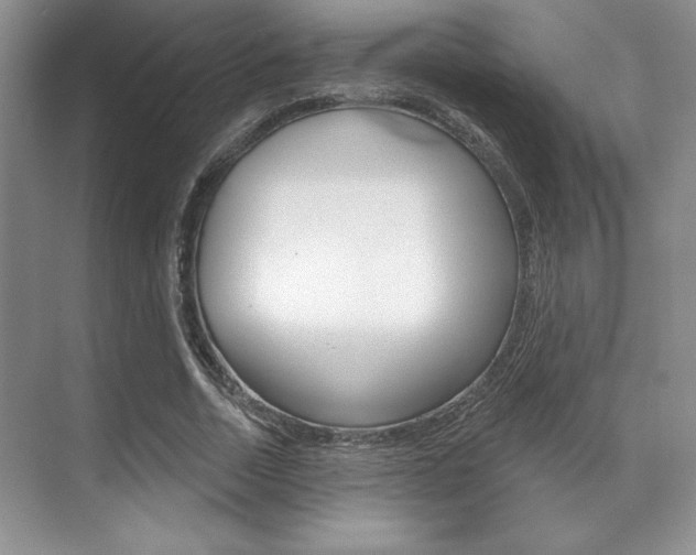 X0000071910730200607070944