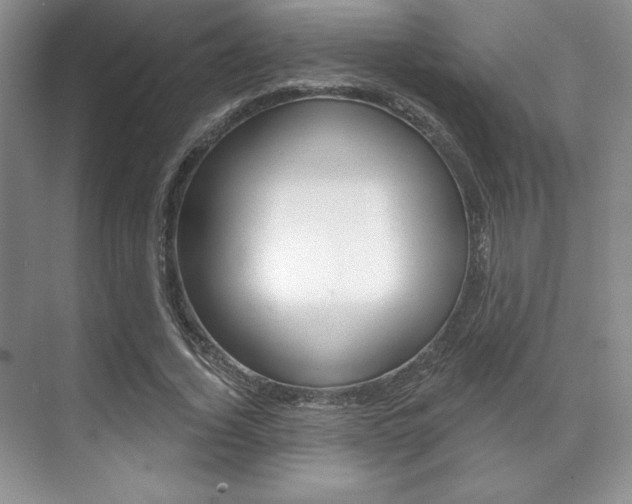 X0000071910732200607070944