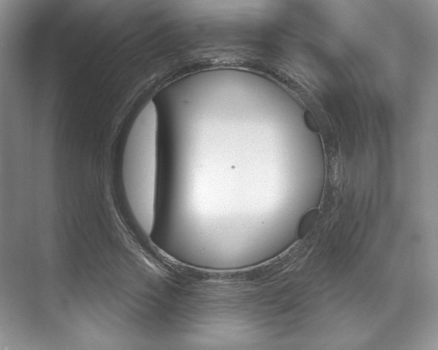 X0000071910733200607070944