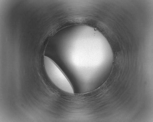 X0000071910739200607070944