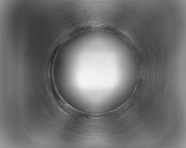 X0000071910740200607070944
