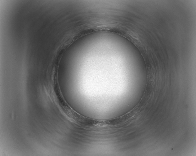 X0000071910742200607070944