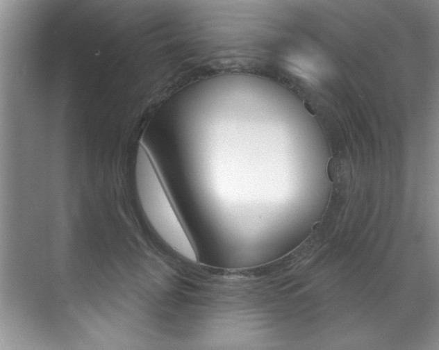 X0000071910751200607070945