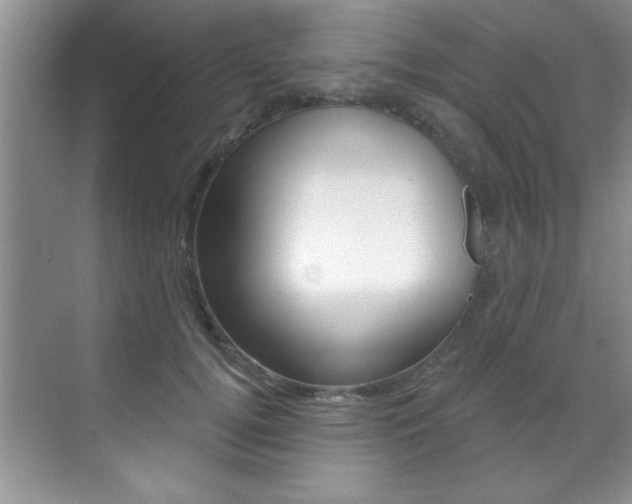 X0000071910752200607070945