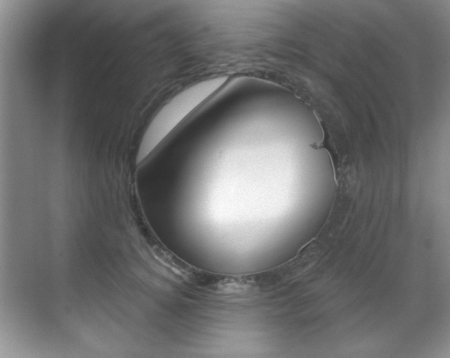 X0000071910756200607070945