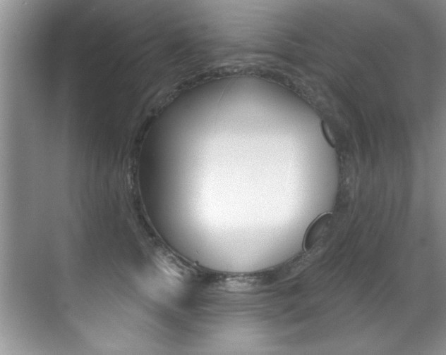 X0000071910758200607070945
