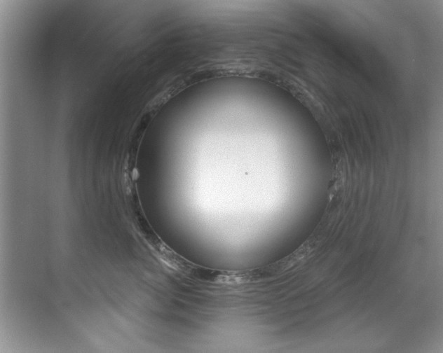 X0000071910764200607070945