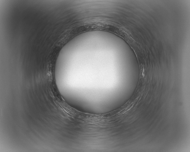 X0000071910771200607070944