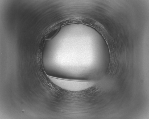 X0000071910773200607070944