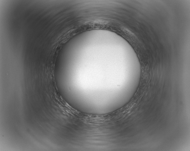 X0000071910774200607070944