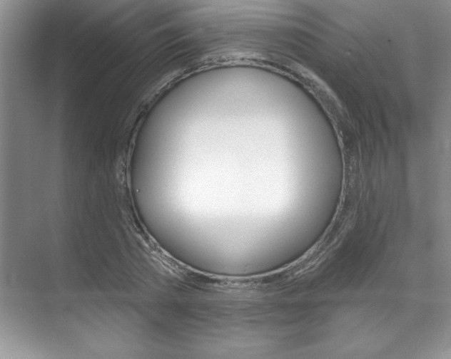 X0000071910785200607070944
