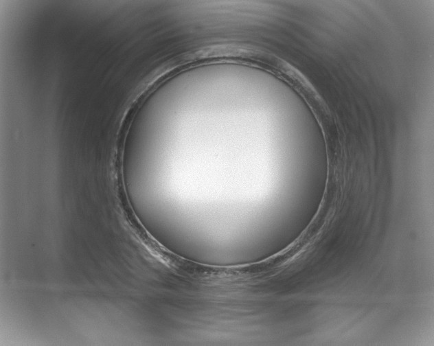 X0000071910786200607070944