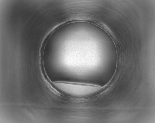 X0000071910787200607070944