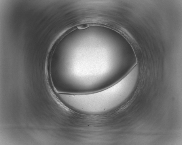X0000071910788200607070944