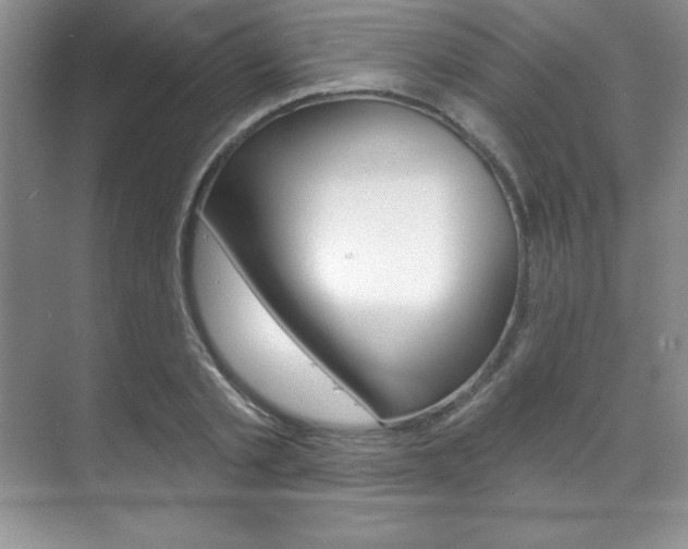 X0000071910789200607070944