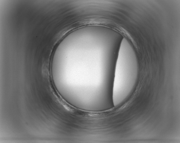 X0000071910794200607070944