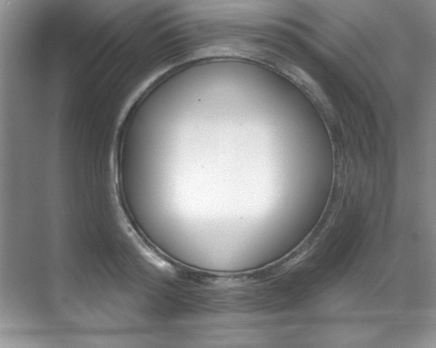 X0000071910796200607070944