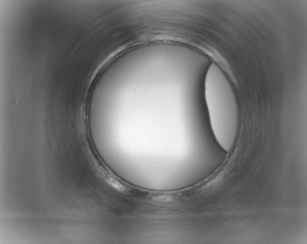 X0000071910798200607070944