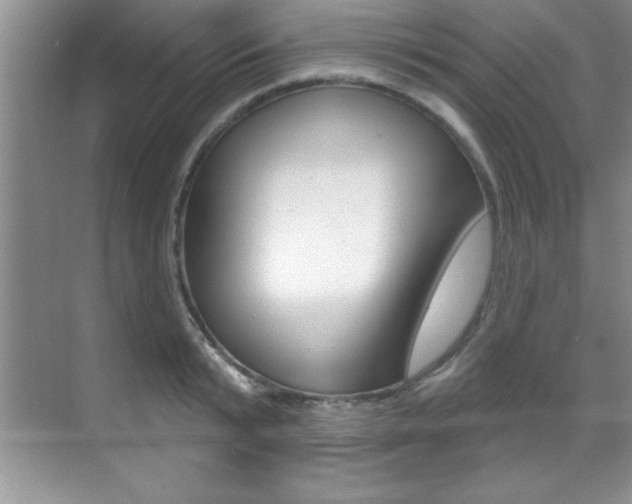 X0000071910799200607070944