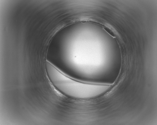 X0000071910801200607070944