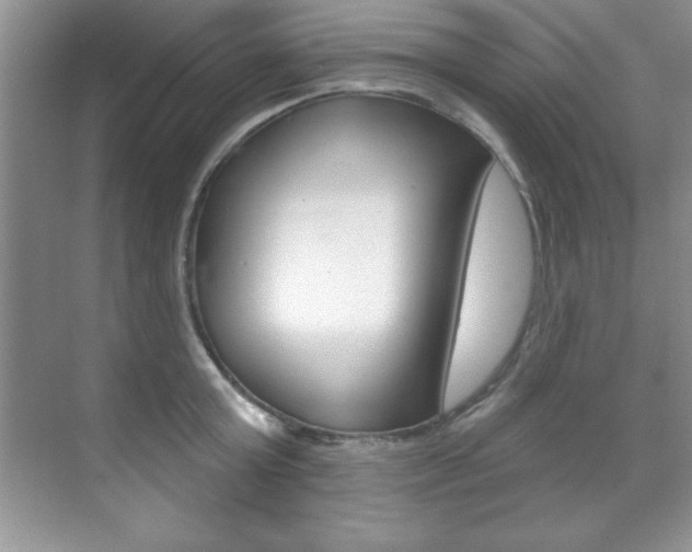 X0000071910803200607070944