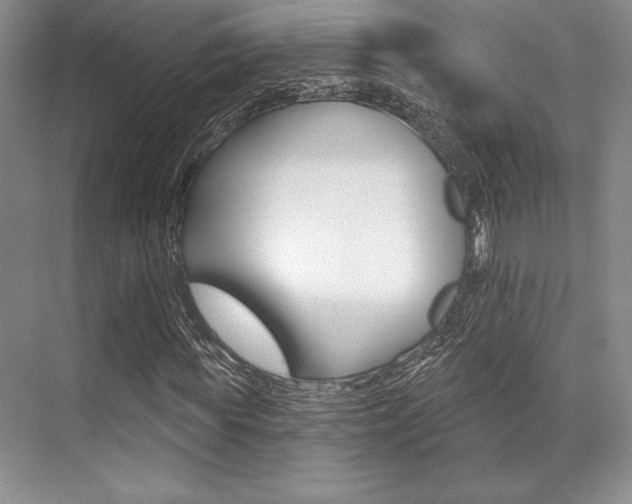 X0000071910819200607070943