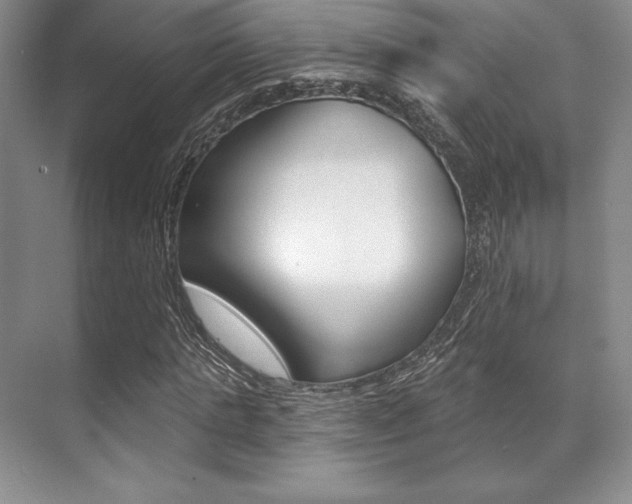 X0000071910821200607070943