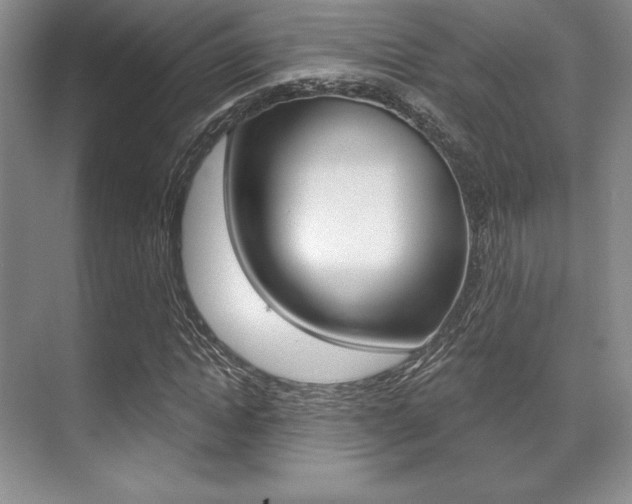 X0000071910822200607070943